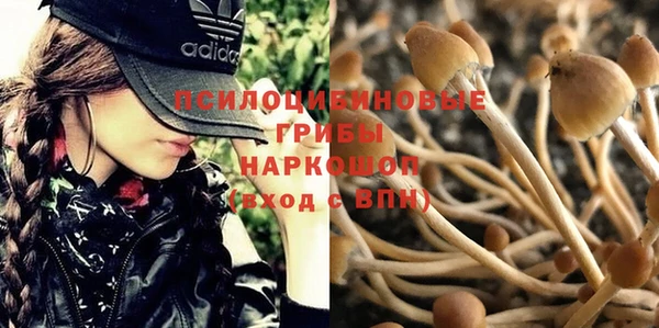 стафф Баксан