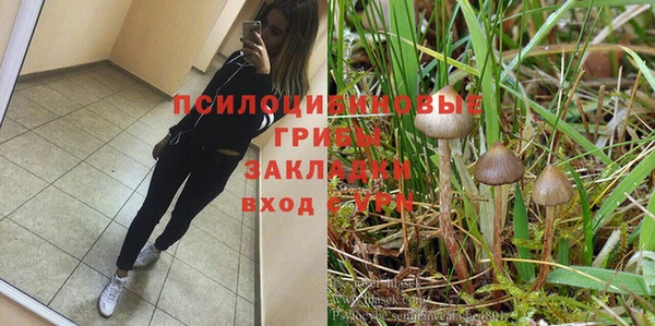 2c-b Белоозёрский