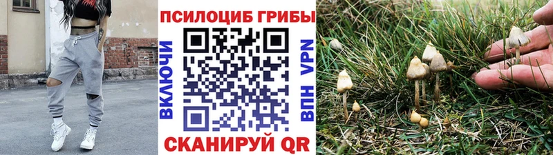 mega сайт Нововоронеж Псилоцибиновые грибы ЛСД